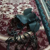 زین چرمی اسب|اسب و تجهیزات اسب‌سواری|دزفول, |دیوار