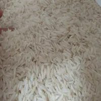 برنج درجه یک و دو آستانه اشرفیه/ فقط مصرف کننده