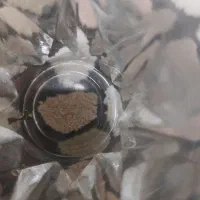 سرمایه گذاری در شغل پردرامد