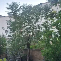 خانه ویلائی۵۰۰متری۲طبقه تکواحدی شهرک راه آهن