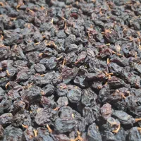 مویز سیاه|خوردنی و آشامیدنی|شیراز, شهرک فرهنگیان|دیوار