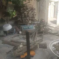 خریدار انواع چوب وهرس به قیمت روز خوب