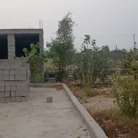 فروش زمین باغ خوب وبا صفا سند تک برگ