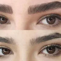 میکروبلیدینگ تغییررنگ ابروی تیره ۴۵۰ اف شب یلدا|خدمات آرایشگری و زیبایی|رشت, توشیبا|دیوار