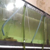 آکواریوم بزرگ ماهیران به همراه میز|ماهی|اصفهان, باغ کاران|دیوار