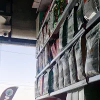 فروشنده  مغازه قهوه فروشی
