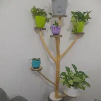 استندچوبی