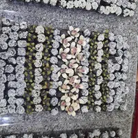 حلوا خرما مجلسی ترحیم|خوردنی و آشامیدنی|مشهد, هنرور|دیوار