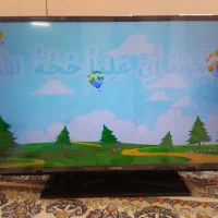 تلویزیون|تلویزیون و پروژکتور|بیرجند, |دیوار