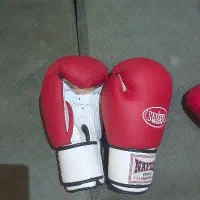 دستکش کاراته و کنگ فو|تجهیزات ورزشی|تهران, نظامی گنجوی (توانیر)|دیوار