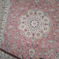 فرش کاشان پشم و ابریشم نو|فرش|کرمانشاه, |دیوار