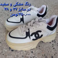 تعدادی کفش زنانه و مردانه نو|کیف، کفش، کمربند|قم, سید معصوم|دیوار