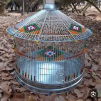 سهره خاکی نر مستخون درشت شاه تخم