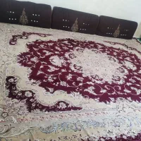 یک جفت فرش نو|فرش|زاهدان, |دیوار