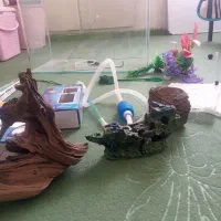 آکواریوم با کلیه تجهیزات در حد نو|ماهی|شیراز, گلدشت معالیآباد|دیوار