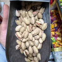 اجیل شب یلدا درجه یک|خوردنی و آشامیدنی|رشت, منظریه|دیوار