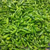 فلفل وخیارشورورشته همدان|خوردنی و آشامیدنی|قم, شهرک فاطمیه|دیوار