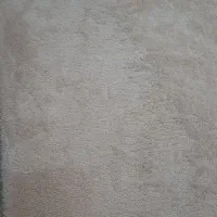 پالاز موکت|موکت|سقز, |دیوار