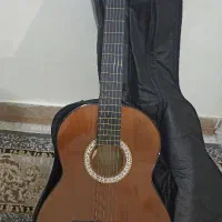 گیتار کلاسیک نوع