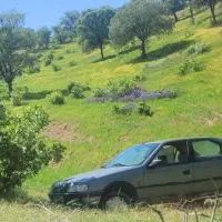 پژو ۴۰۵ مدل ۸۹|خودرو سواری و وانت|سیرجان, |دیوار