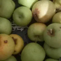 کارگر هستم