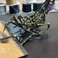 رتیل عنکبوت عقرب تزئینی