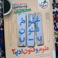 کتاب علوم و فنون ادبی
