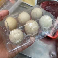 تولید وپخش تخم مرغ بومی.بلدرچین.|خوردنی و آشامیدنی|نجف‌آباد, شهدا|دیوار