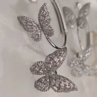 بدلیجات پروانه|بدلیجات|یزد, |دیوار