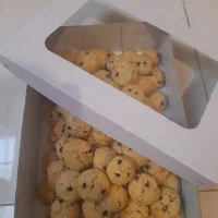 فروش روزانه کوکی