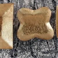 سرویس پذیرایی طلایی