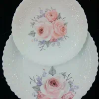 انواع ارکوپال به صورت تک وعمد