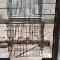 قفسه پرنده