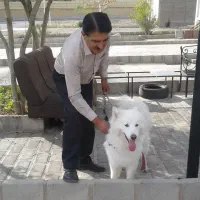 کار نگهبانی برای پدرم‌