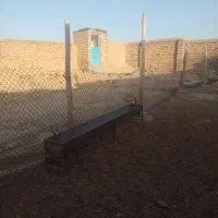یک نابدونی گوسفند ویک باسکو ل ۲۰۰ کیلویی|لوازم جانبی حیوانات|تفرش, |دیوار