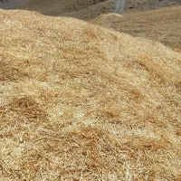 کاه کمباین