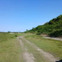زمین-حدودا-300-متری-کاربری-مسکونی-دهکده-ساحلی