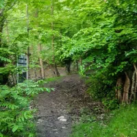 طبیعت و گردش