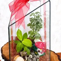 باکس گل خاص مخصوص خاص پسندها|گل و گیاه طبیعی|رشت, فلسطین|دیوار
