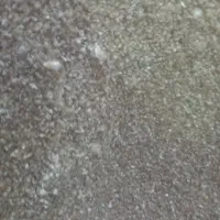 موکت پالز موکت