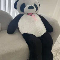 خرس سفید مشکی|اسباببازی|رشت, پیرکلاچای|دیوار