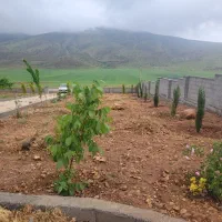 1200-متر-زمین-باغ
