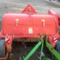 علف زن سیبزمینی