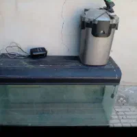 آکواریوم ماهی