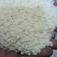 برنج طارم هاشمی فریدونکنا ربه شرط پخت|خوردنی و آشامیدنی|تهران, ارجمندی راد|دیوار