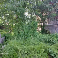 زمین-عباس-اباد