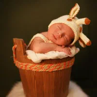 عکاسی و فیلمبرداری