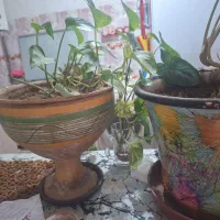 گلدانها باگلها