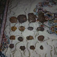 سنگ|کلکسیون اشیاء عتیقه|شیراز, رکن‌آباد|دیوار