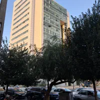 ۱۰۲۲ متر زمین ویلایی در هروی کوی بنفشه